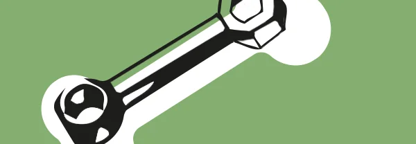 Steckschlüssel in Knochenform